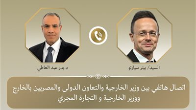 وزيرا خارجية مصر والمجر يؤكدان ضرورة تغليب الحلول الدبلوماسية لتسوية النزاعات