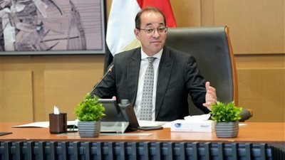 مركز المعلومات يتعاون مع المالية لتحسين الخدمات الضريبية والجمركية