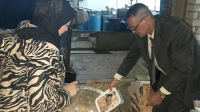 ضبط 29 طنا من المواد الغذائية منتهية الصلاحية ومخالفات تموينية بالشرقية