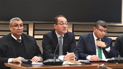 وزير المالية: إعفاء 45 مليون وحدة سكنية من الضريبة العقارية