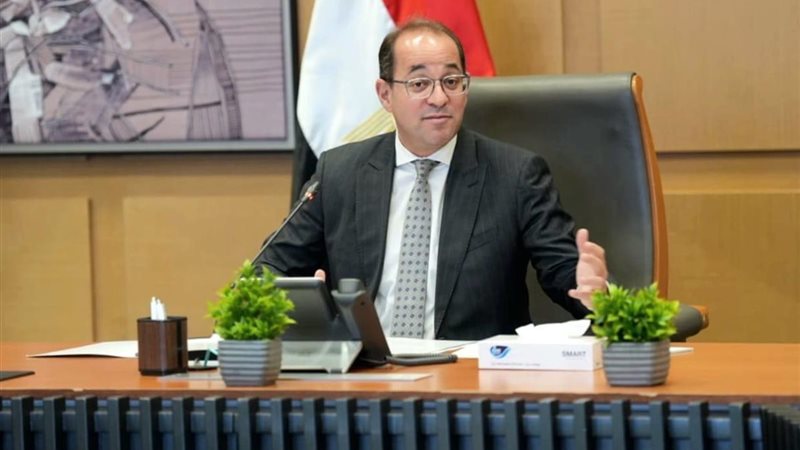 وزير المالية