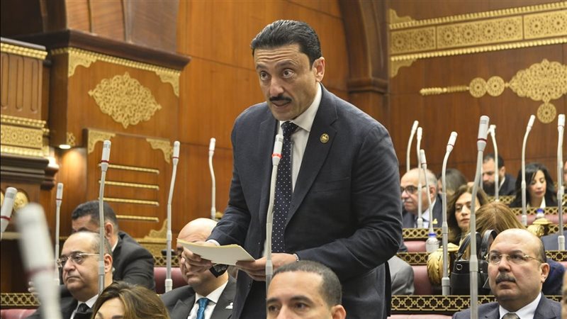  النائب محمد رزق