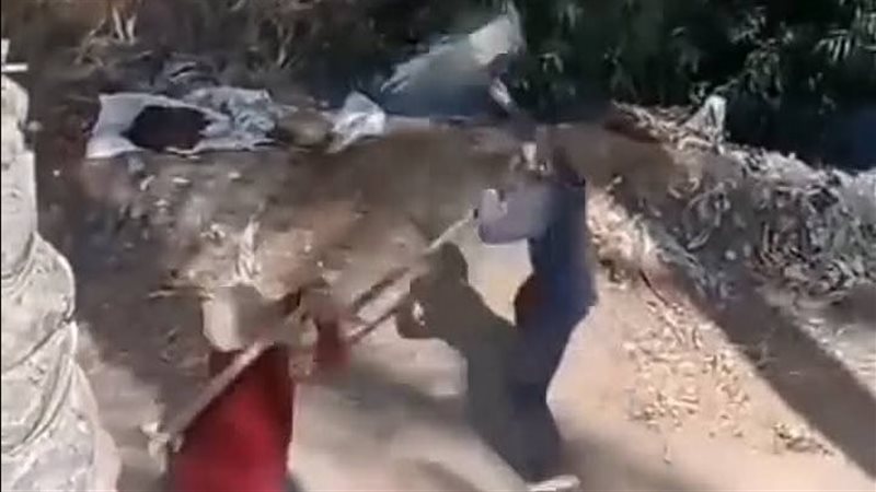 جانب من الفيديو 