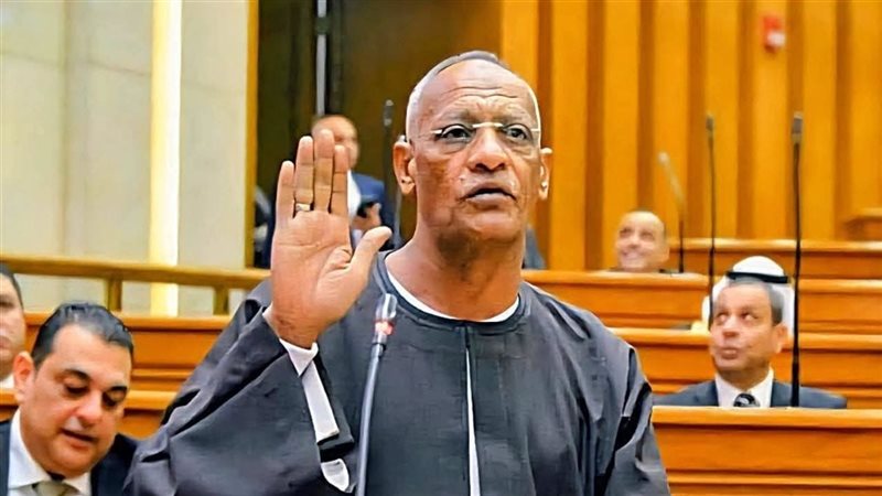 النائب مدحت ركابي
