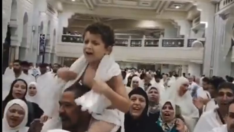 طفل مصري في الصفا