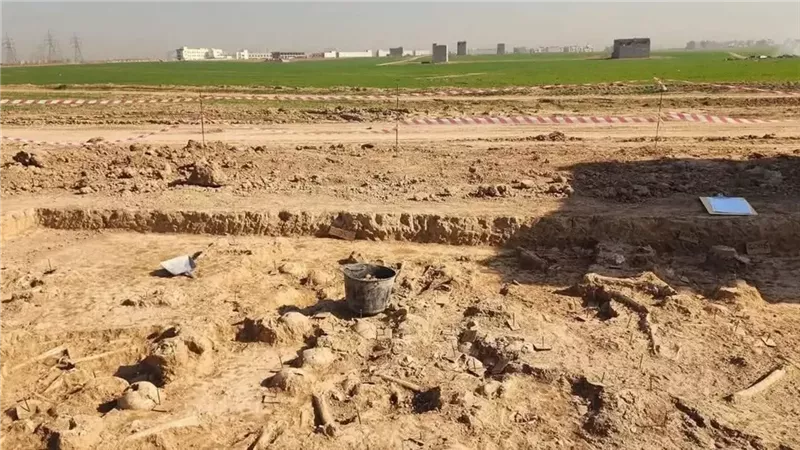 صورة موضوعية