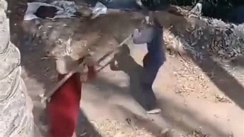 خلافات على الميراث..