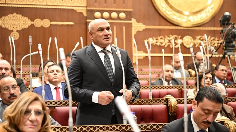 النائب شعبان رأفت