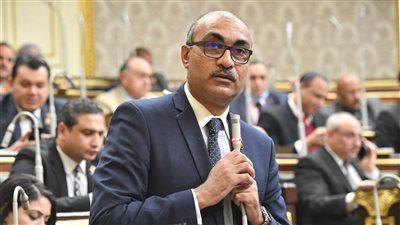 نائب: الشعب المصري حمول وقرارات زيادة المحروقات تتطلب وقفة لمراجعة الأولويات
