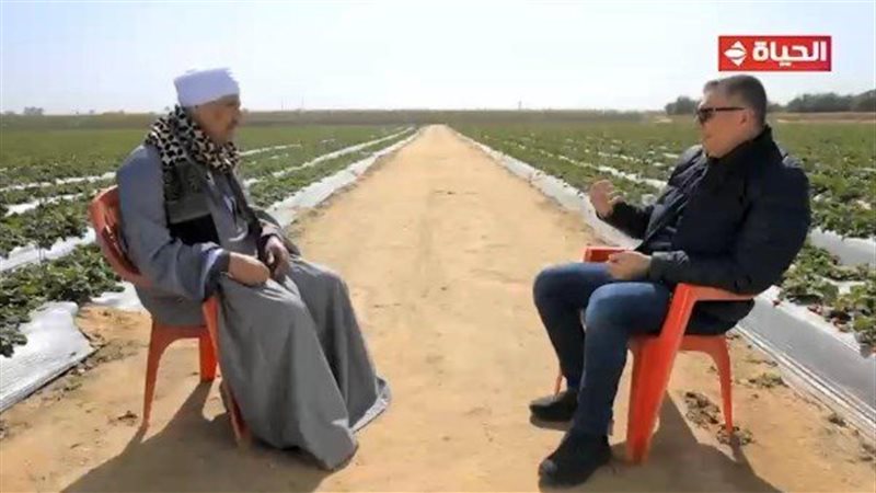 عمرو الليثي والحاج