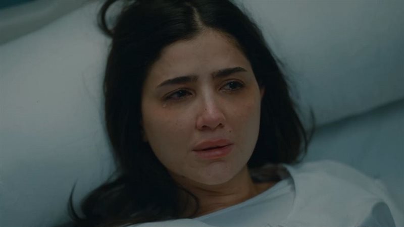 ملخص مسلسل الست موناليزا
