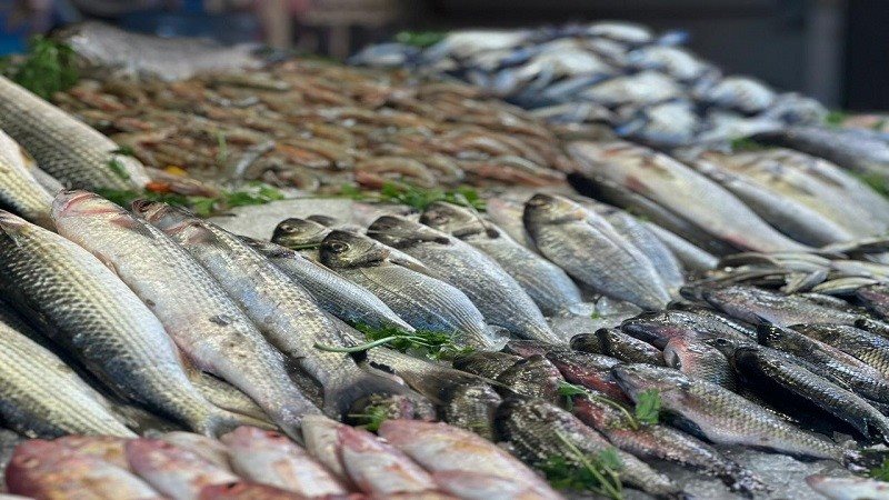 سعر الأسماك والمأكولات