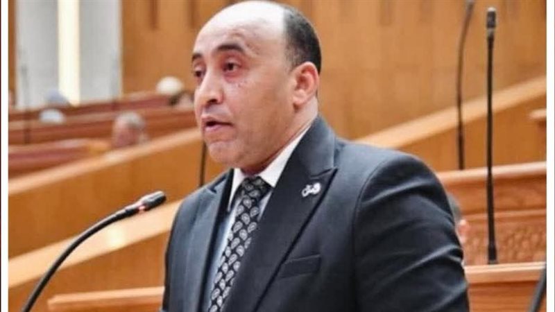 حسام حسن