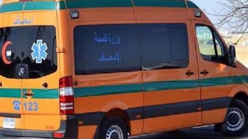 ارشيفية