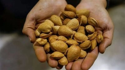 أيهما أفضل للكوليسترول وخسارة الوزن .. اللوز أم البكان؟