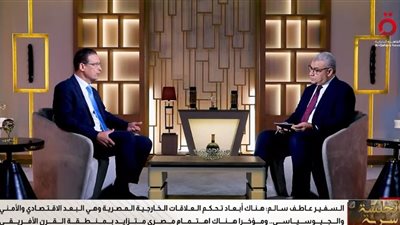 السفير عاطف سالم: التحقيق والمساءلة تجبر إسرائيل على تصحيح أخطائها