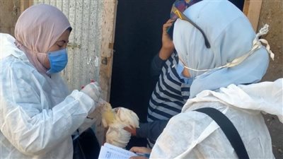 «بيطري الشرقية» يضبط 4131 طن لحوم غير صالحة فى 39 حملة مكبرة بالمحافظة