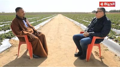 من فدان فراولة إلى 300 فدان.. قصة كفاح المزارع حسن|فيديو