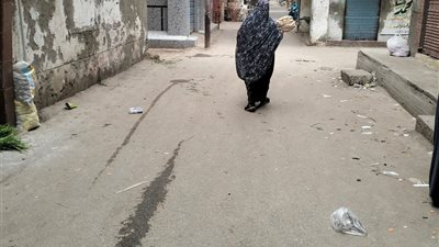 طقس غائم جزئيا مع انخفاض درجات الحرارة علي مختلف الانحاء الساحلية بالبحيرة