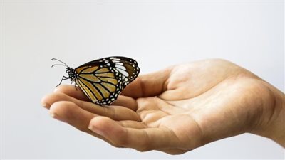 في يومه العالمي.. ما هو يوم الانعدام التام للتمييز؟