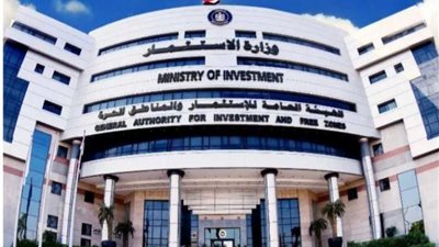 1800 جنيه للطن.. «الاستثمار» تعدل رسوم صادرات بعض الخامات التعدينية