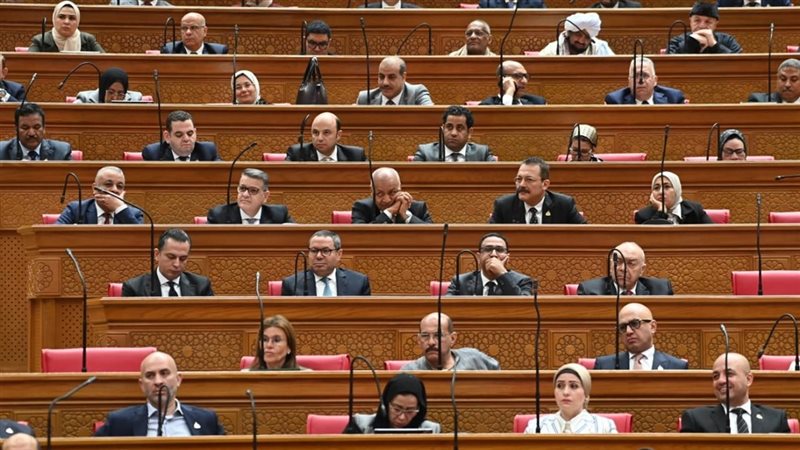 مجلس النواب 
