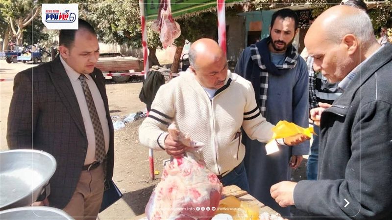 تموين المنيا 