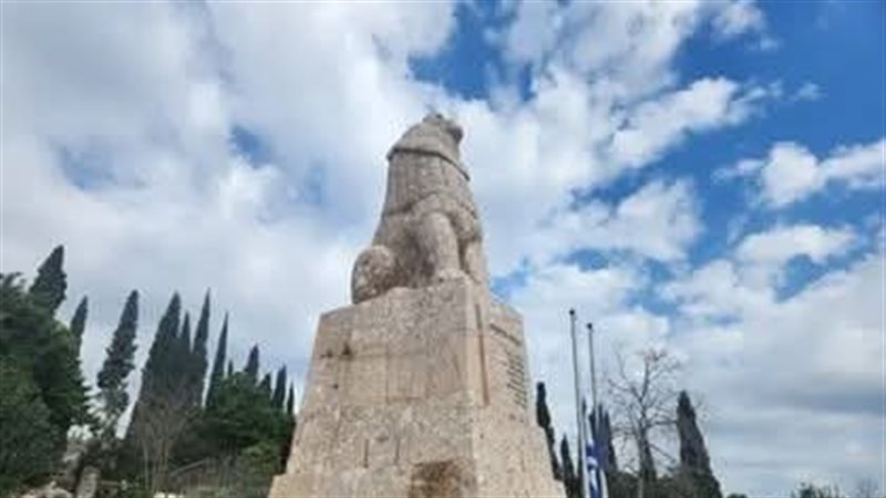 زئير الأسد