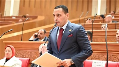 إسلام التلواني يشيد بخطة الدولة لدعم الجاليات المصرية في ظل التوترات الإقليمية