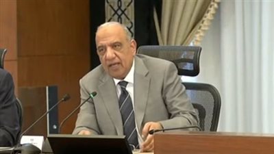 وزير الكهرباء لـ«نيوز رووم»: الصيف المقبل لن يشهد انقطاع التيار الكهربائي