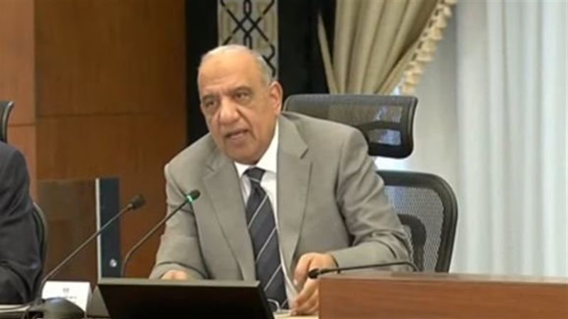 وزير الكهرباء 
