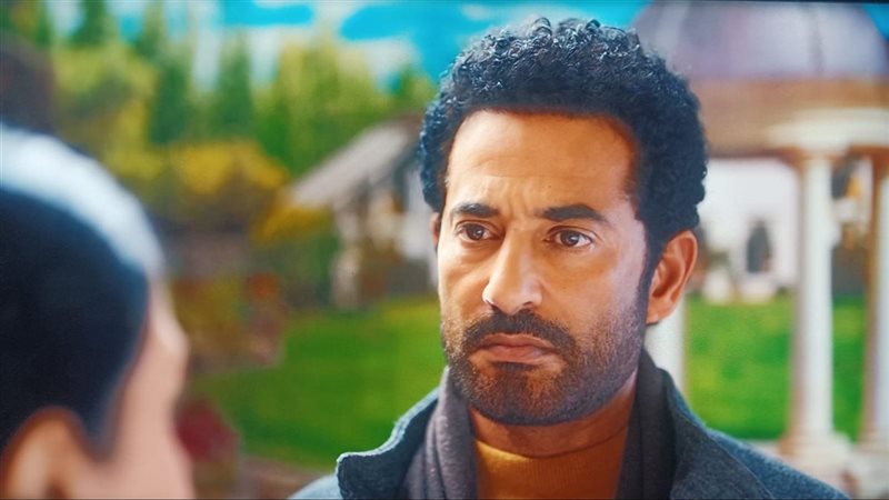 عمرو سعد
