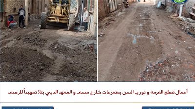 المنوفية تسرع وتيرة الرصف ضمن مشروعات 