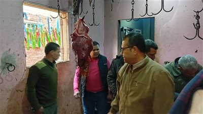 محافظ المنوفية: ضبط سلخانة مخالفة داخل منزل بإحدى قرى الباجور خلال حملة تفتيش