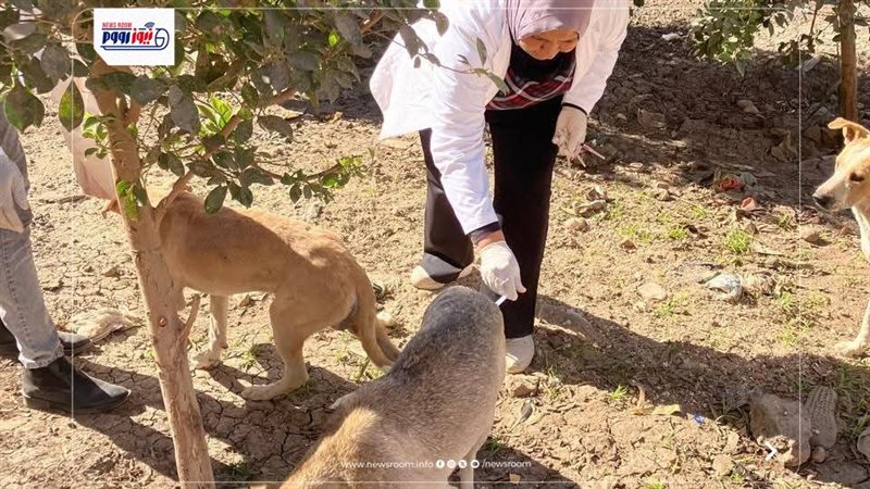 الطب البيطري بالمنيا