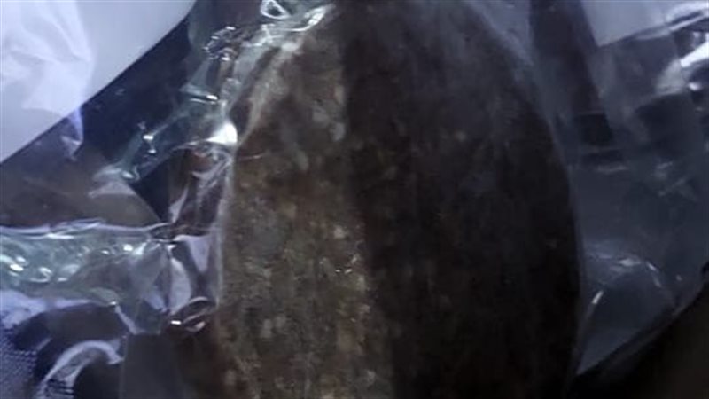برجر فاسد