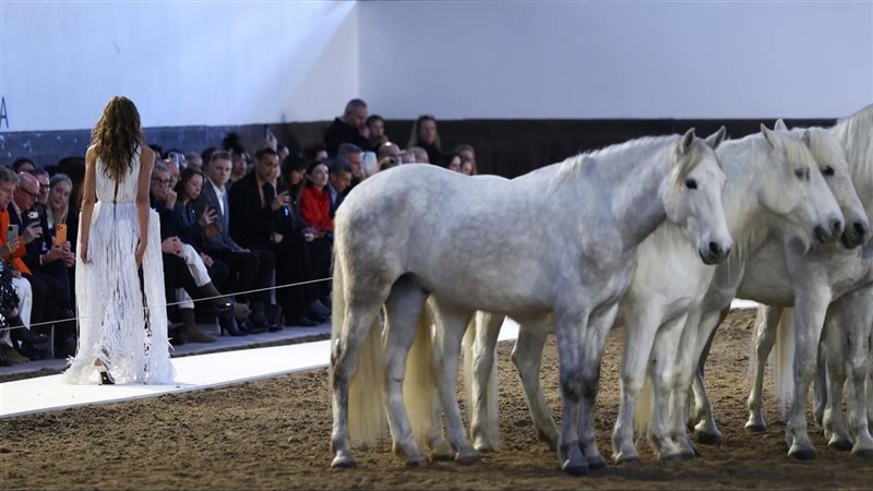 عرض ستيلا مكارتني