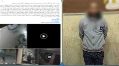 بسبب الركنة.. التحقيق مع عاطل حطم سيارة سيدة في عين شمس 