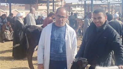 الطب البيطري بالسويس يواصل تحصين الماشية بسوق السبت بقرية الألبان الجديدة