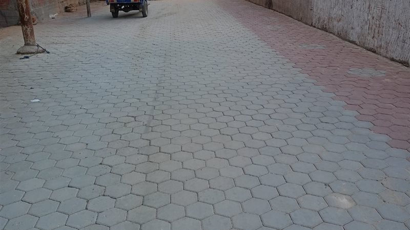 صورة واقعيه