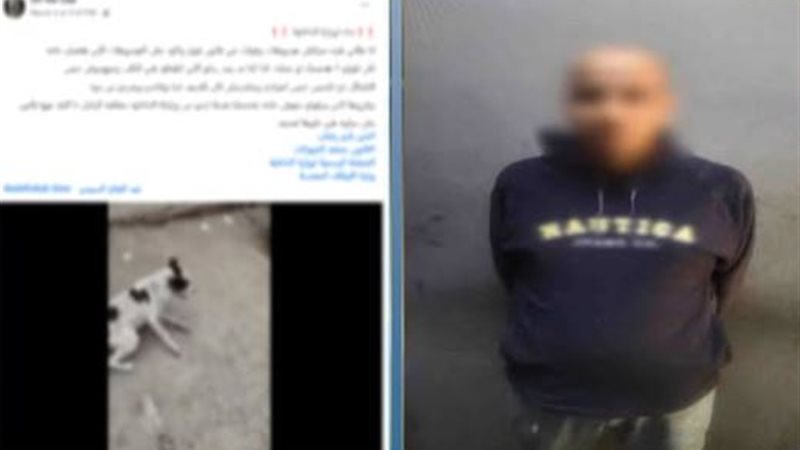 المتهم
