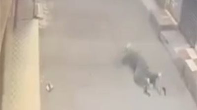القبض على شخص اعتدى على طليقته بساطور في طنطا بسبب خلافات سابقة