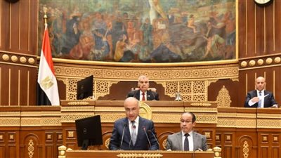 نواب الشيوخ: كلمة الرئيس السيسي في يوم الشهيد تحمل رسائل وطنية لتعزيز الوفاء