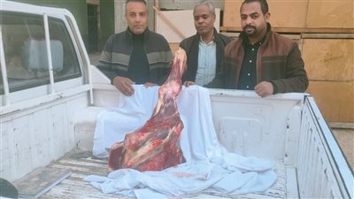 ضبط دقيق مدعم ولحوم فاسدة بالأقصر.. حملات تموينية مكثفة وتمديد الأوكازيون 