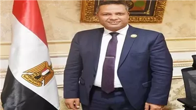 نائب بالشيوخ: يوم الشهيد محطة وطنية لتجديد العهد مع أبطال القوات المسلحة