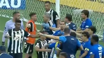 طرد 23 لاعباً.. فوضى تاريخية في نهائي كأس مينيرو بالبرازيل | فيديو 