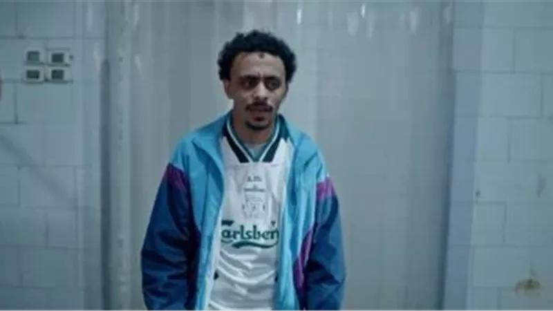 بيبو 