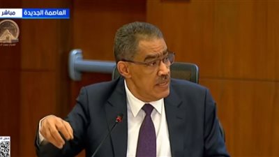 وزير الإعلام: مصر قضت 6 سنوات كاملة منذ 2014 في القضاء على الإرهاب