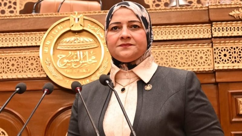  النائبة مروة قنصوه