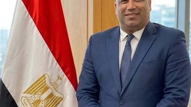 الدكتور أحمد حماد